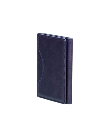 MagSafe Fold